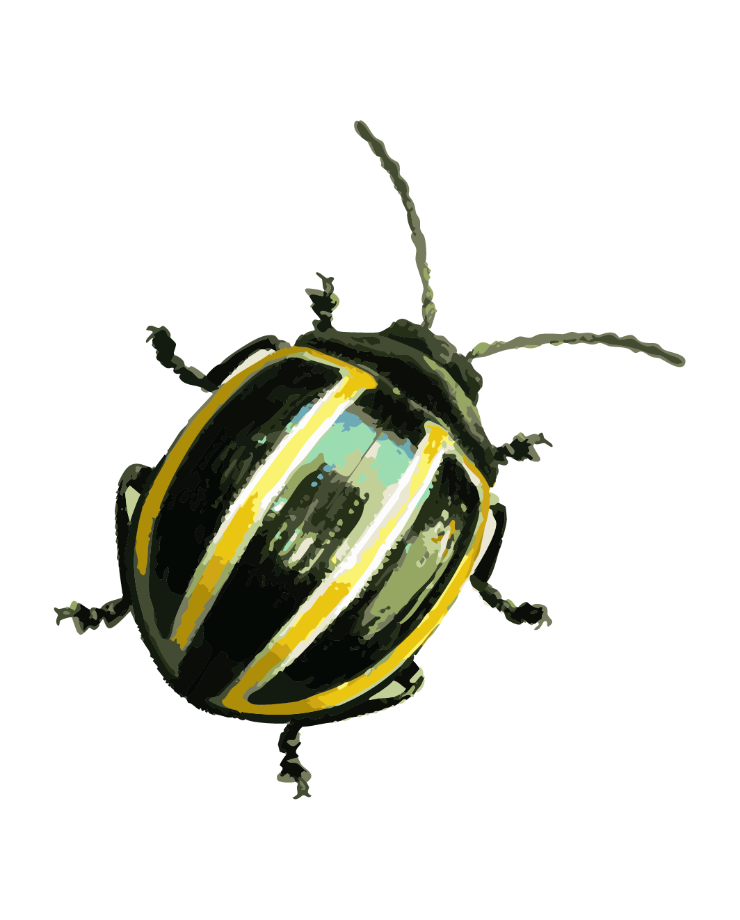 button